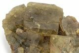Yellow-Green Cubic Fluorite Crystal Cluster - Morocco #223907-1